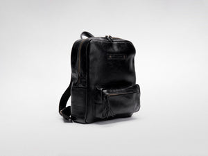 The Compass Backpack